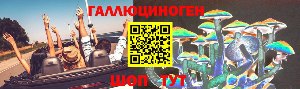 Унеча  Псилоцибиновые грибы Magic Shrooms  цены наркотик  Вход с VPN 