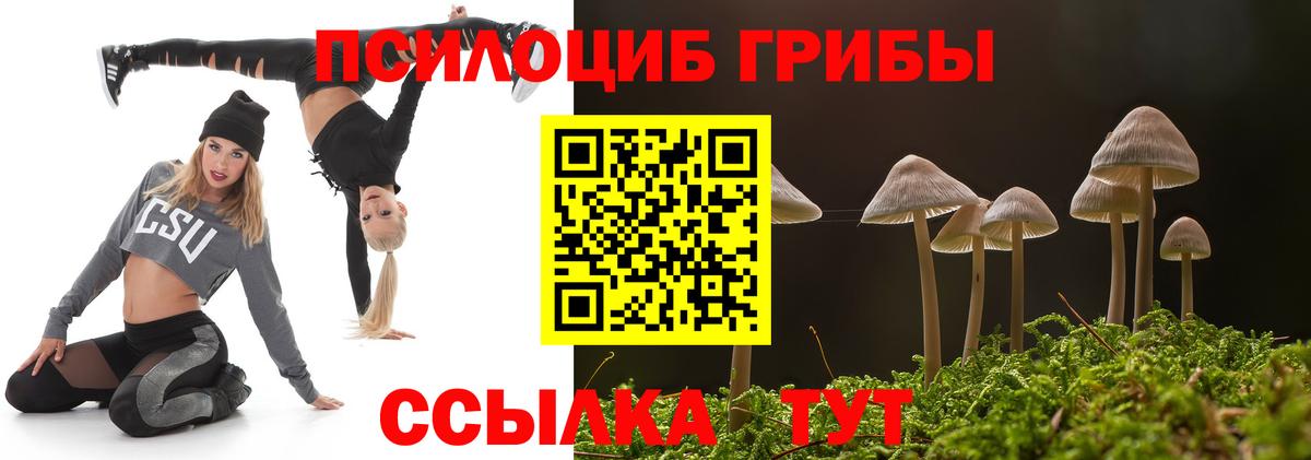 Псилоцибиновые грибы Psilocybine cubensis Унеча